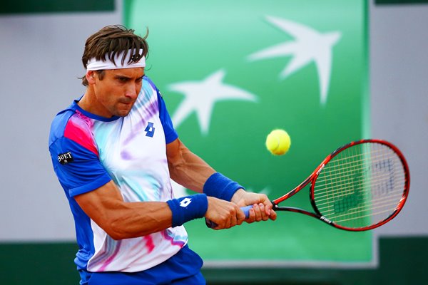 David Ferrer French Open 2014