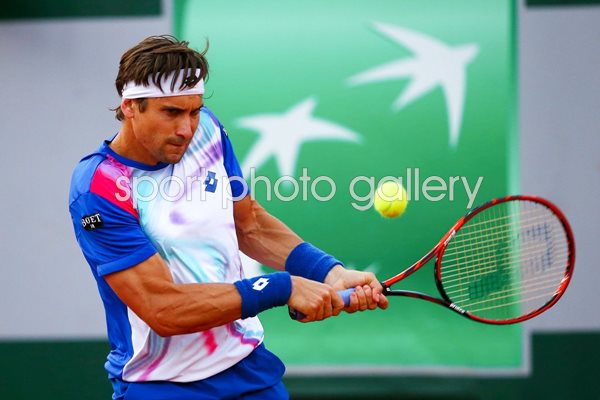 David Ferrer French Open 2014