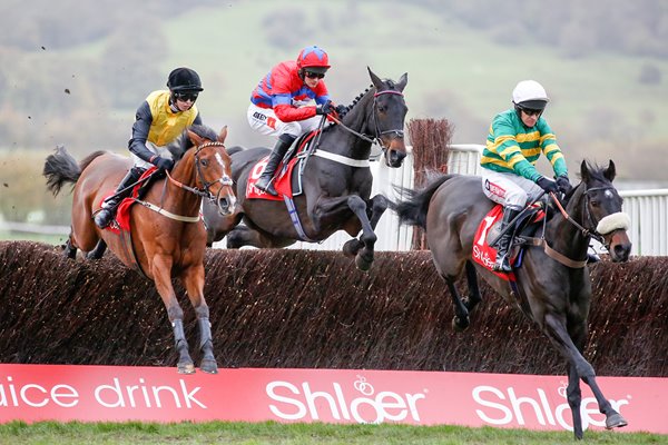 Sprinter Sacre Nico de Boinville win at Cheltenham 2015