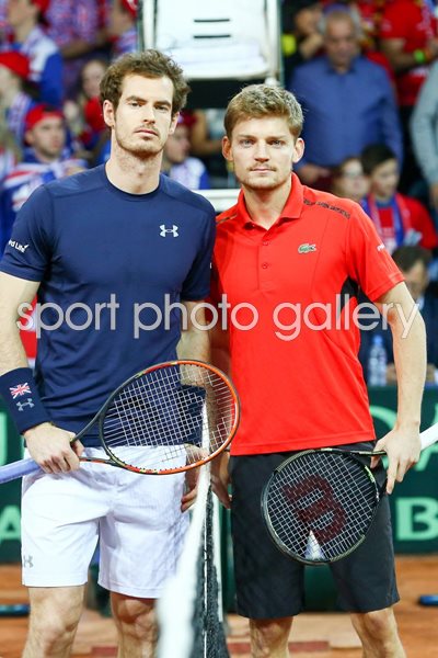 Andy Murray v David Goffin Davis Cup Final 2015