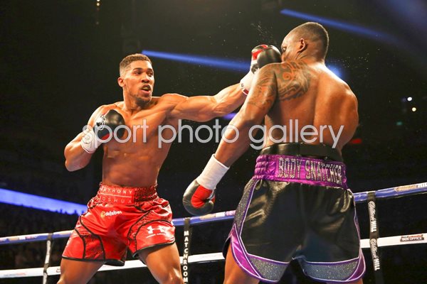 Anthony Joshua v Dillian Whyte London 2015