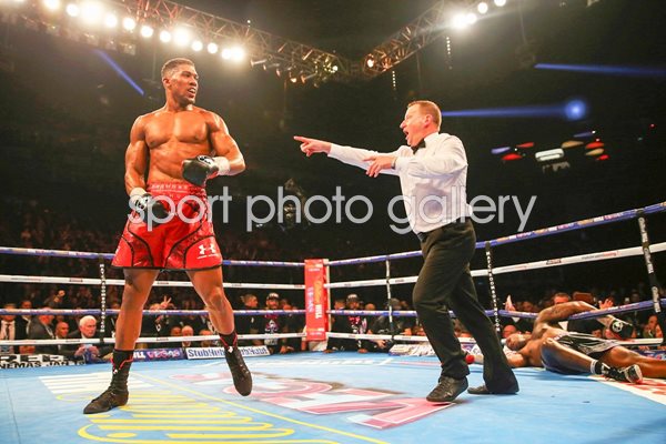 Anthony Joshua knocks out Dillian Whyte London 2015