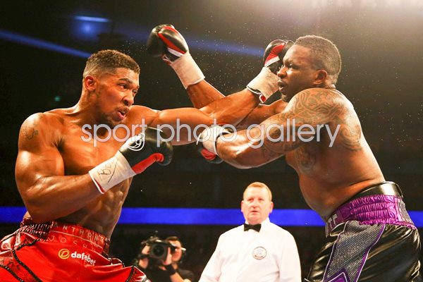 Anthony Joshua v Dillian Whyte London 2015