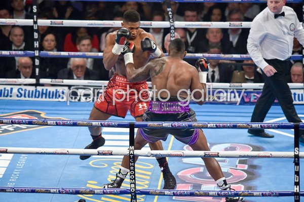 Anthony Joshua v Dillian Whyte London 2015