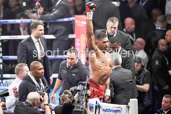 Anthony Joshua British & Commonwealth Heavyweight Champion 2015