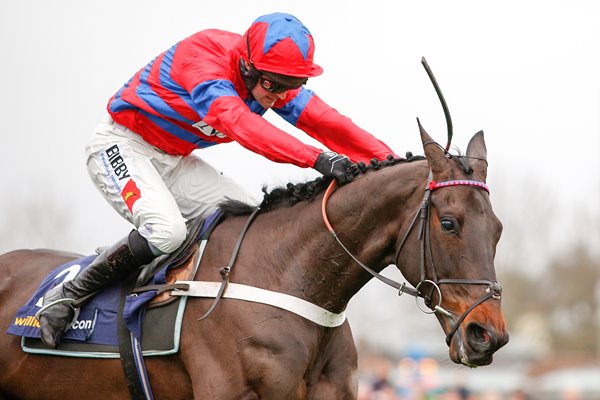 Sprinter Sacre beats Sire De Grugy Kempton 2015