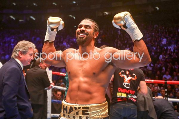 David Haye knocks out Mark De Mori O2 Arena 2016