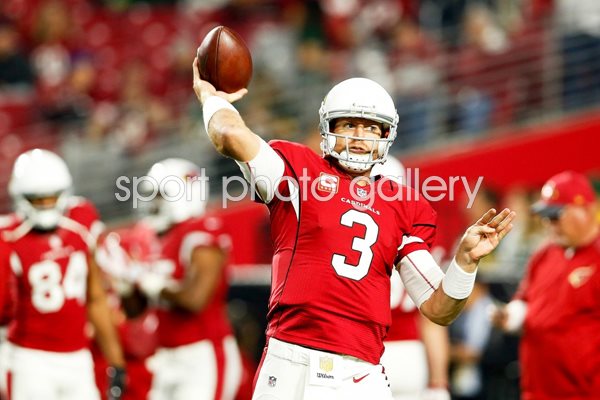 Carson Palmer #3 Arizona Cardinals