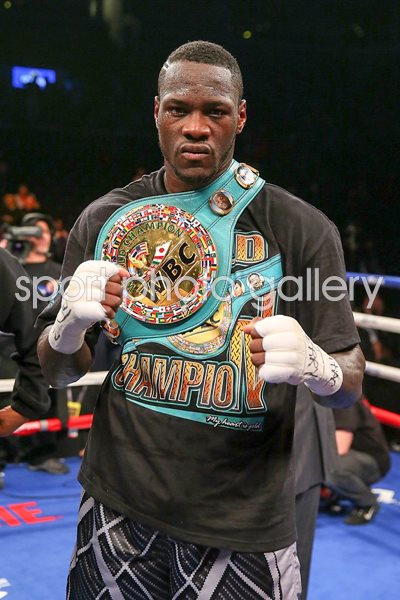 Deontay Wilder WBC Heavyweight Champion New York 2016