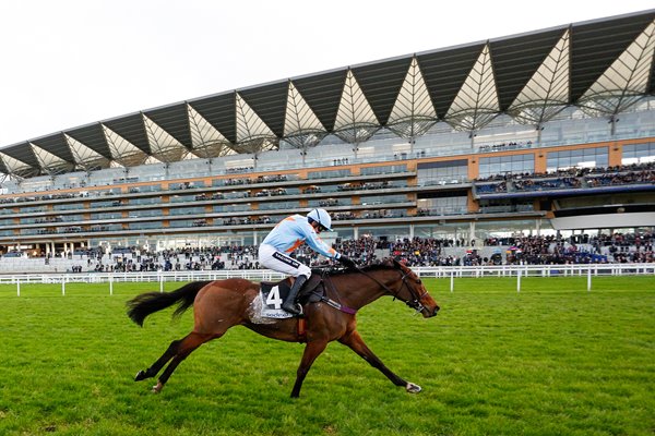 Ruby Walsh & Un De Sceaux win Clarence House Ascot 2016