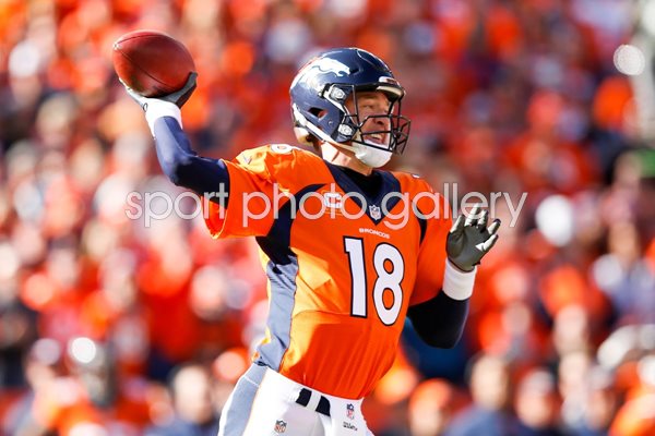Peyton Manning Denver Broncos AFC Champions 2016