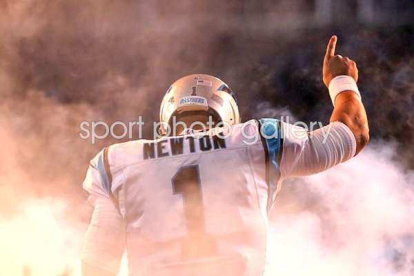 Cam Newton Carolina Panthers NFC Champions 2016
