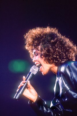 Whitney Houston in Concert 1990