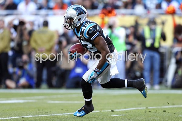 Fozzy Whittaker Carolina Panthers Super Bowl 50 2016