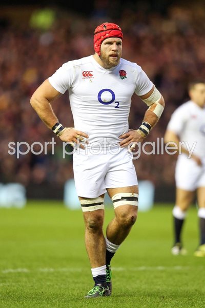 James Haskell England Six Nations 2016