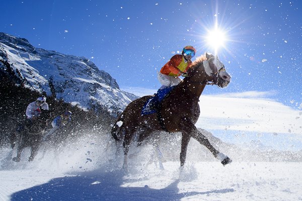 Freddy Di Fede Arable White Turf St. Moritz