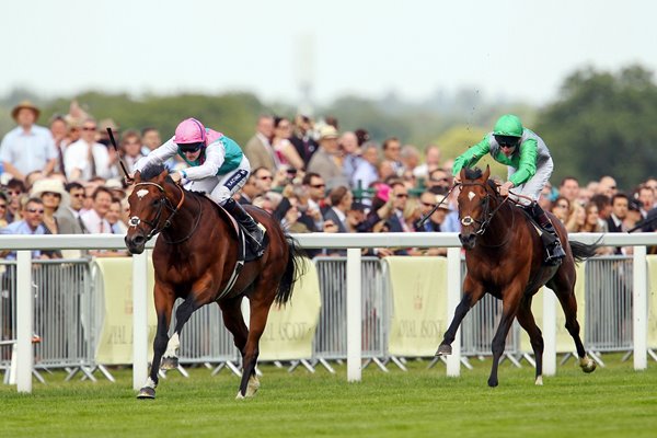 Frankel wins at Royal Ascot 2011