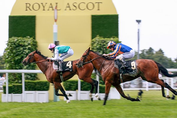 Frankel wins at Royal Ascot 2011