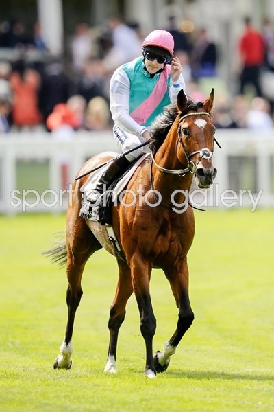 Tom Queally and Frankel Royal Ascot 2011