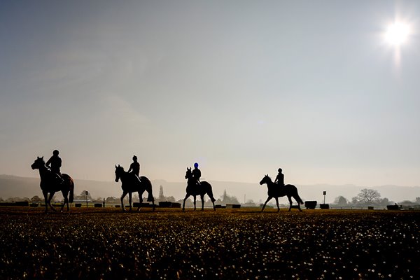 Cheltenham Gallops 2016