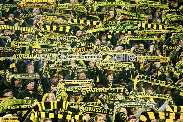 Borussia Dortmund Fans