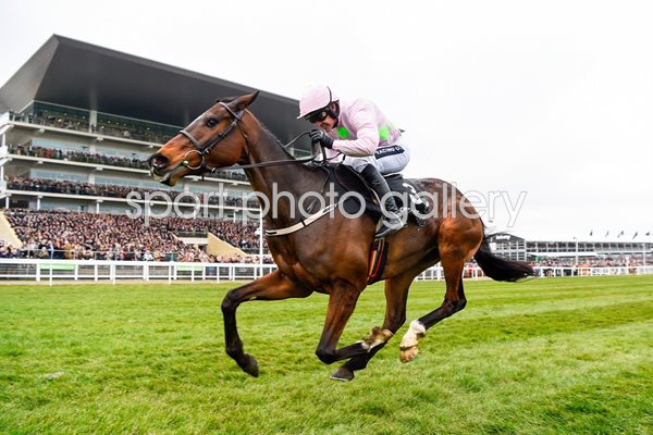 Ruby Walsh & Douvan win Arkle Chase Cheltenham 2016