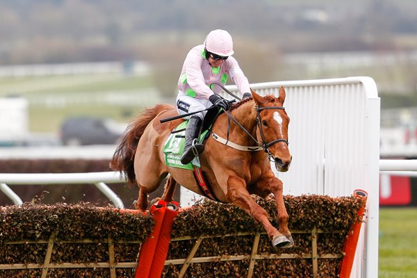 Annie Power & Ruby Walsh win Champion Hurdle Cheltenham 2016