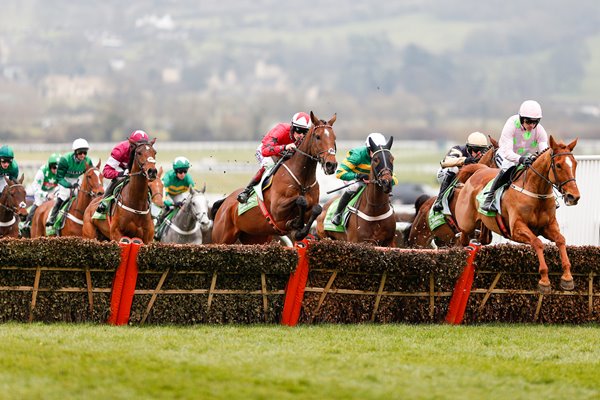 Ruby Walsh & Annie Power win Champion Hurdle Cheltenham 2016