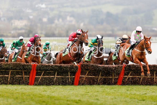Ruby Walsh & Annie Power win Champion Hurdle Cheltenham 2016