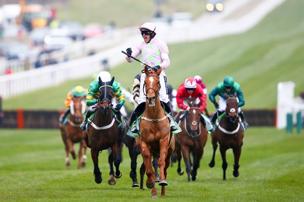 Ruby Walsh & Annie Power win Champion Hurdle Cheltenham 2016