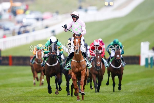 Ruby Walsh & Annie Power win Champion Hurdle Cheltenham 2016