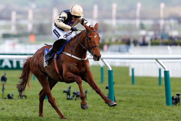 Ruby Walsh & Yorkhill Novices Hurdle Cheltenham 2016