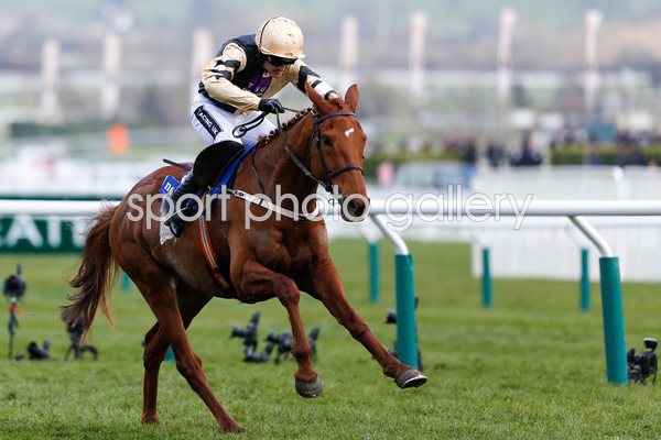 Ruby Walsh & Yorkhill Novices Hurdle Cheltenham 2016