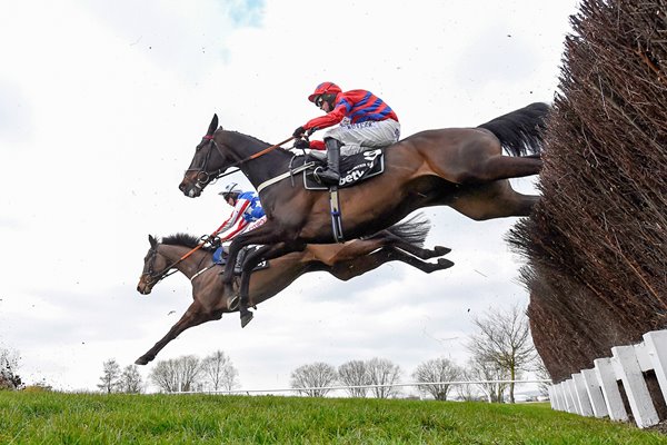 Sprinter Sacre wins Queen Mother Chase Cheltenham 2016