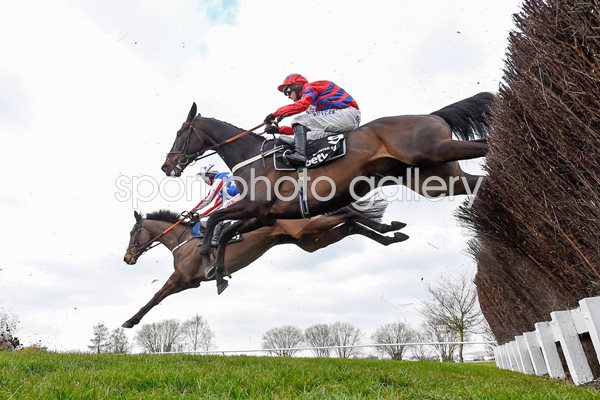 Sprinter Sacre wins Queen Mother Chase Cheltenham 2016