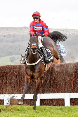 Sprinter Sacre wins Queen Mother Chase Cheltenham 2016