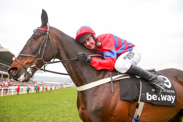 Nico de Boinville & Sprinter Sacre Cheltenham 2016