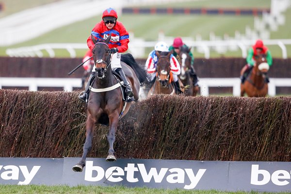 Sprinter Sacre wins Queen Mother Chase Cheltenham 2016