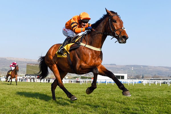 Tom Scudamore & Thistlecrack World Hurdle Cheltenham 2016