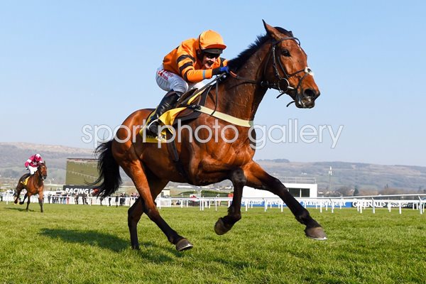 Tom Scudamore & Thistlecrack World Hurdle Cheltenham 2016