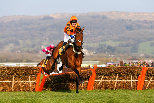 Tom Scudamore & Thistlecrack World Hurdle Cheltenham 2016