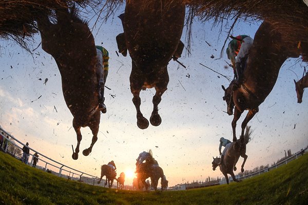 Runners and riders jump the third last Cheltenham 2016