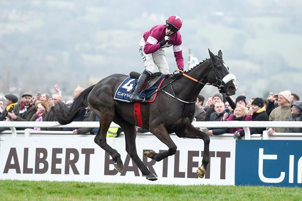 Bryan Cooper & Don Cossack win 2016 Cheltenham Gold Cup 