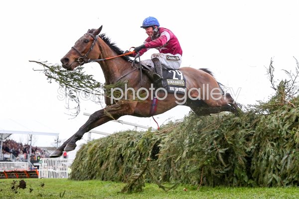 David Mullins & Rule The World win 2016 Grand National