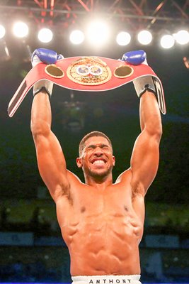 Anthony Joshua IBF World Heavyweight Champion 2016