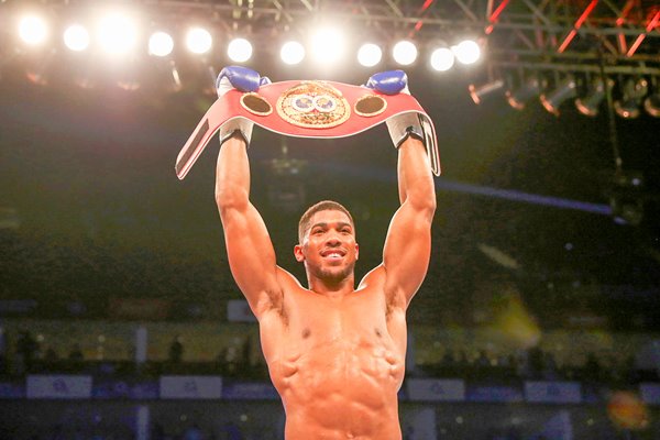 Anthony Joshua IBF World Heavyweight Champion 2016