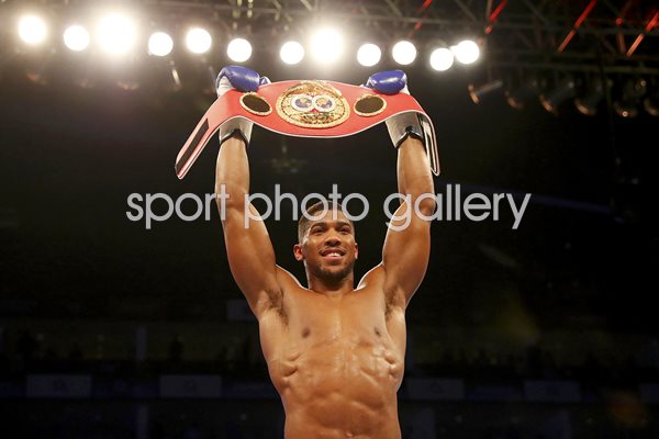 Anthony Joshua IBF World Heavyweight Champion 2016