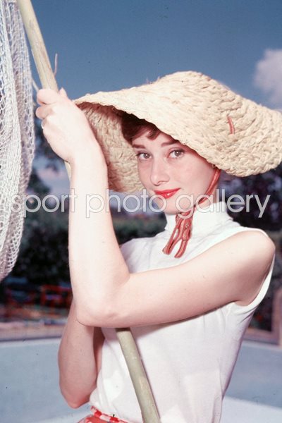 Portrait Of Audrey Hepburn