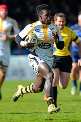 Christian Wade Wasps 6 Tries Worcester Sixways 2016