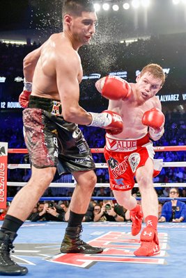 Canelo Alvarez knock out punch v Amir Khan 2016